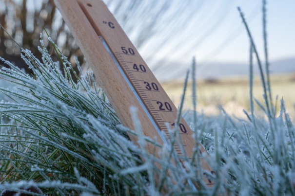 przymrozki_wiosenne
