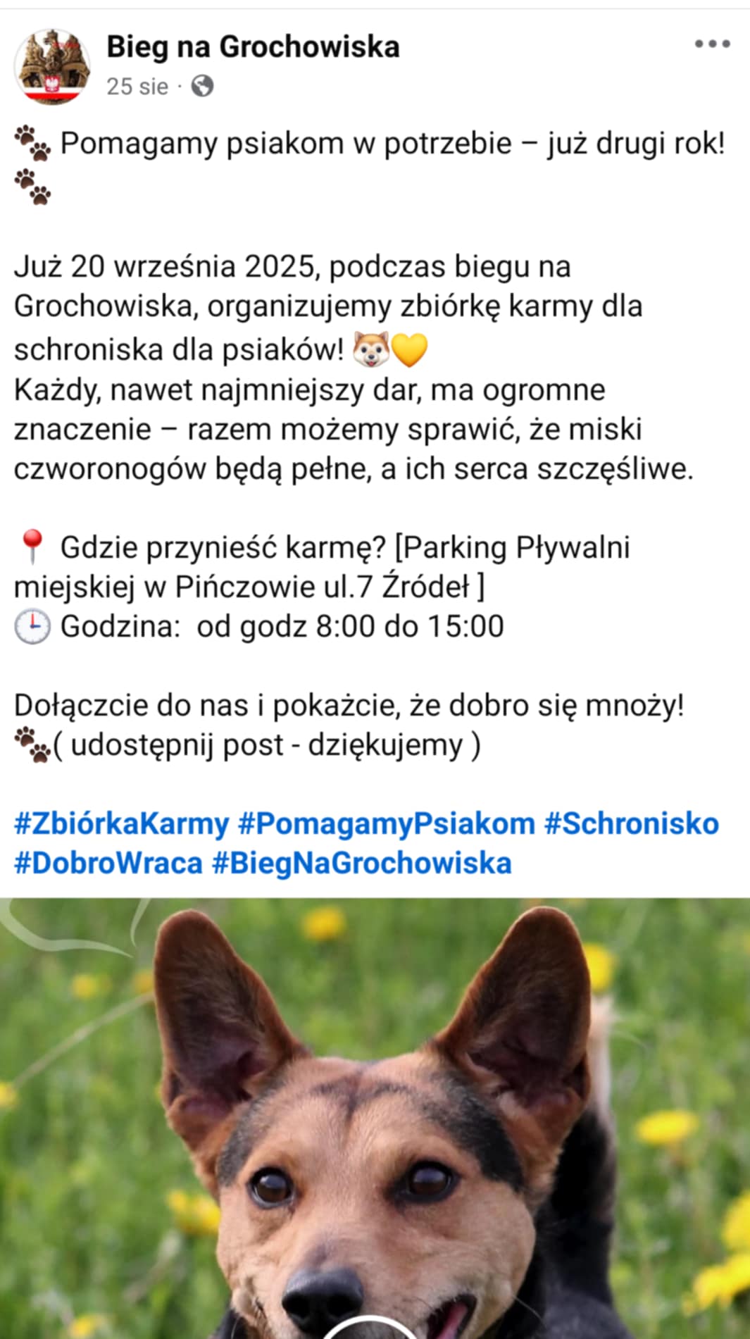 zbi&oacute;rka_karmy