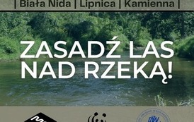 Zasadź las nad rzeką! 2