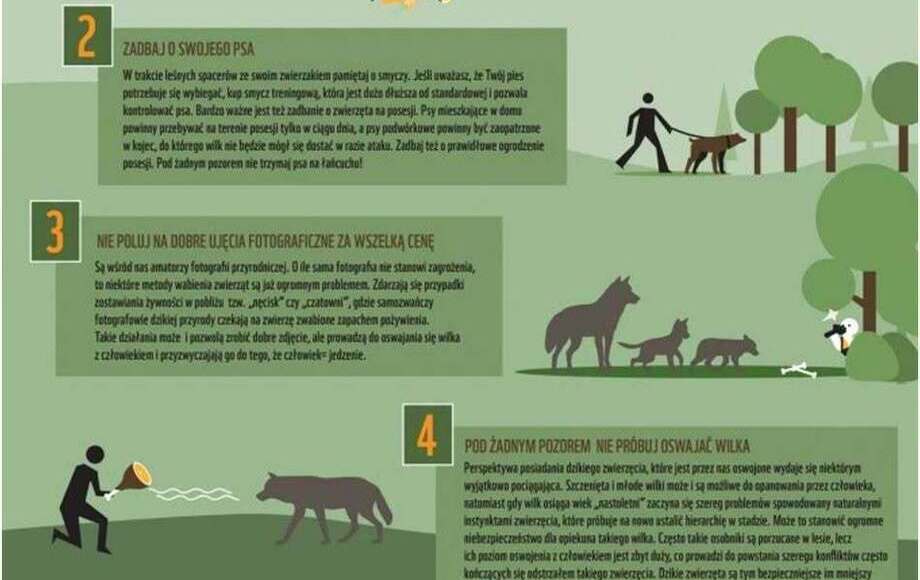 Zdjęcie do Komunikat dla mieszkańc&oacute;w &ndash; obecność wilk&oacute;w na terenie...