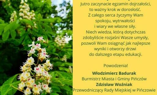 Zdjęcie do Zakwitły kasztany, trzymajmy kciuki za Maturzyst&oacute;w 
