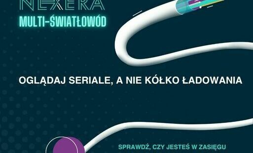 Zdjęcie do Cyfryzacja Pińcz&oacute;w nabiera tempa