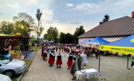 Zdjęcie do Z ziemniakiem w roli gł&oacute;wnej