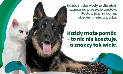 Zdjęcie do Zadbajmy o zwierzęta w czasie upał&oacute;w