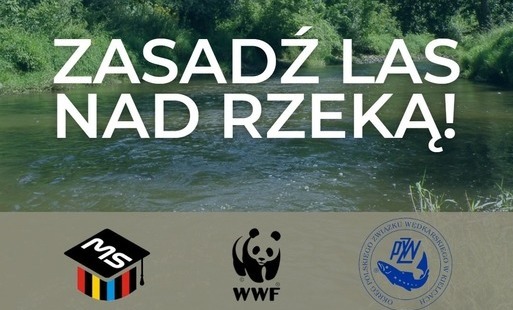 Zdjęcie do Zasadź las nad rzeką!